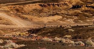 轻伤不下火线！记者：姆巴佩左手无名指骨折，但仍将出战曼城